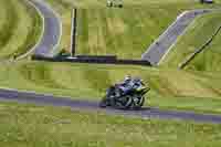 Middle Group Black Bikes